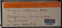Image Associated With the Occurence
